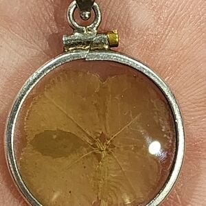 Genuind Sterling Silver 4 Leaf Clover Entombed In A Screw Glass Case W 24" Chain